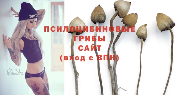 марки nbome Заводоуковск
