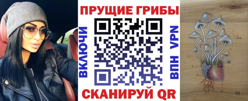 Купить закладки  Одинцово  Галлюциногенные грибы мицелий 
